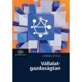 Vállalatgazdaságtan Vállalatgazdaságtan